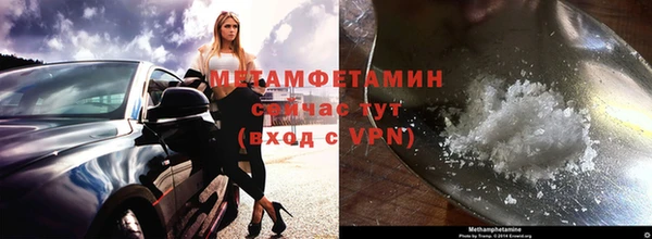 гидра Братск