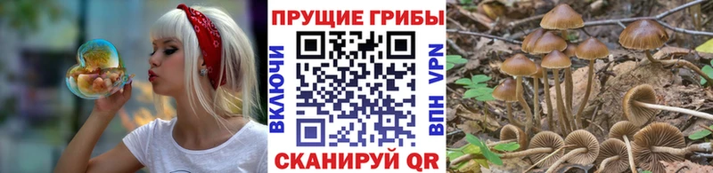 Псилоцибиновые грибы Magic Shrooms  Симферополь 