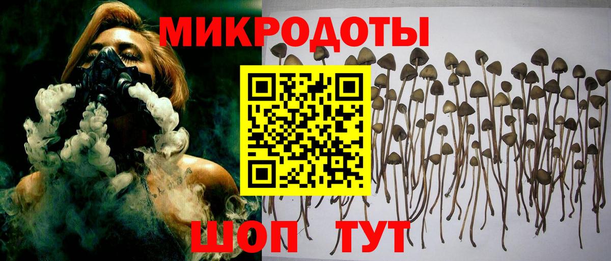 Галлюциногенные грибы Psilocybe  Вход с VPN  Симферополь 