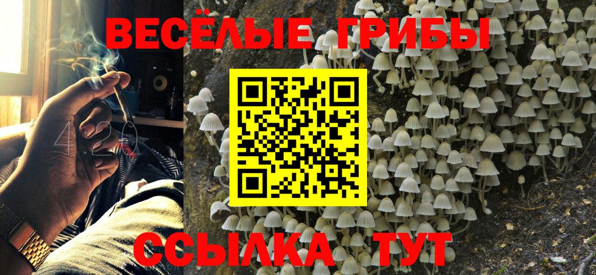 Галлюциногенные грибы Psilocybe Симферополь